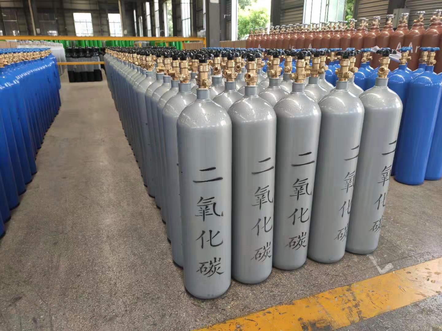 指南 指南