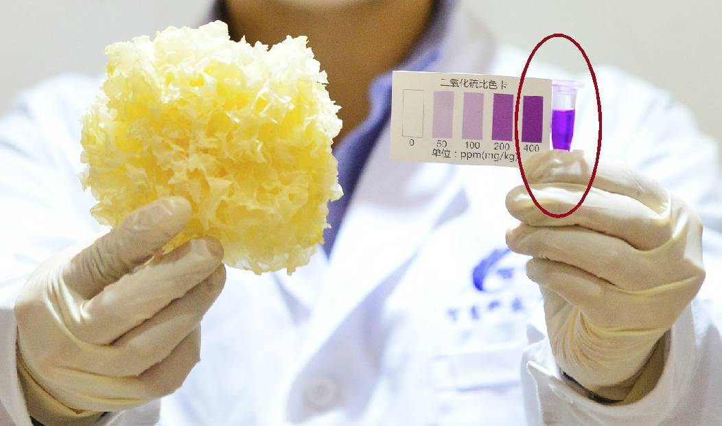 指南 指南