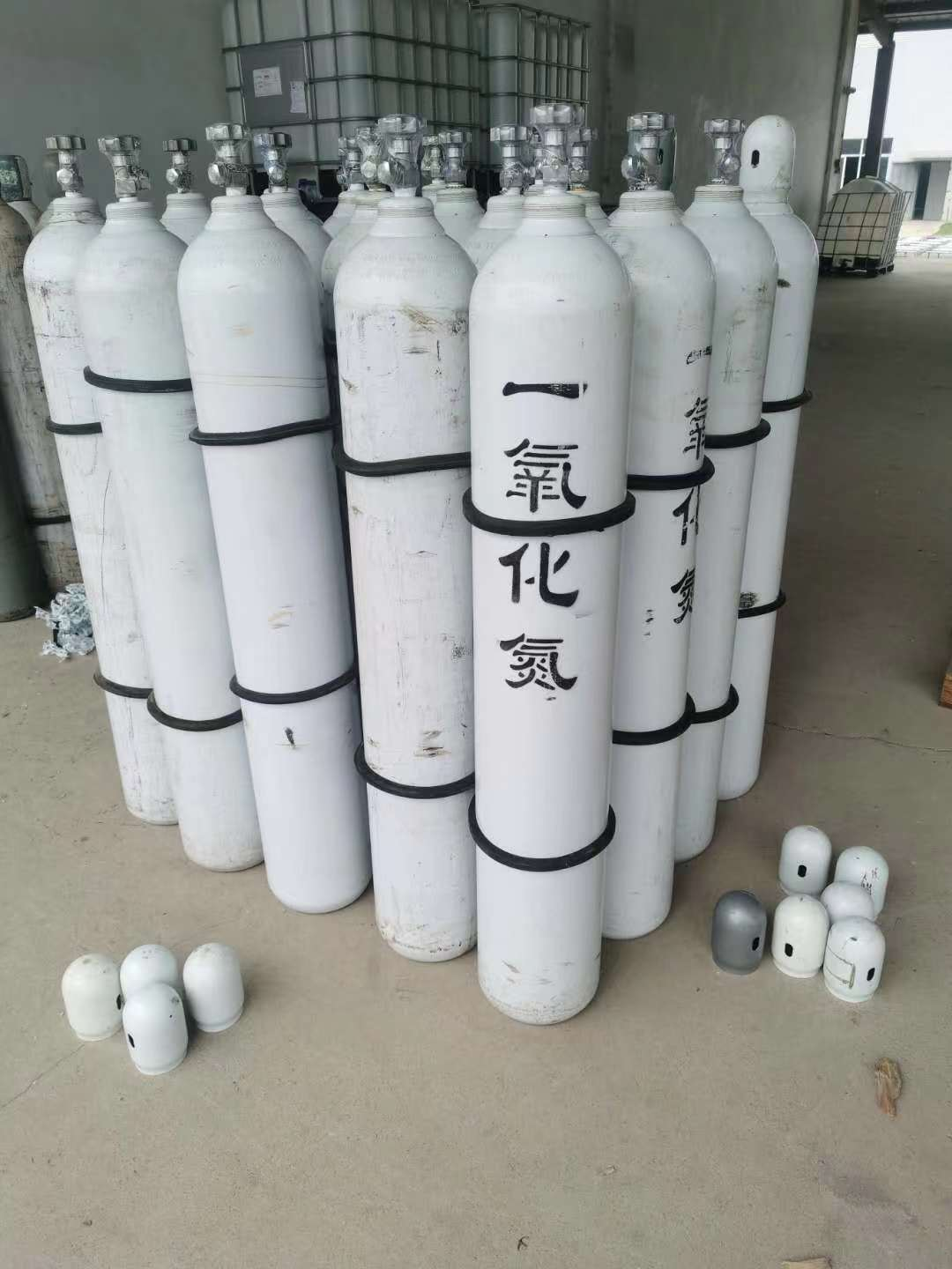 指南 指南